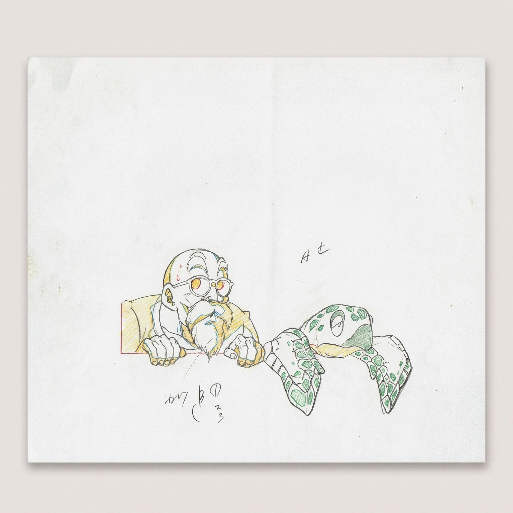 Dragon Ball – Tortue Géniale