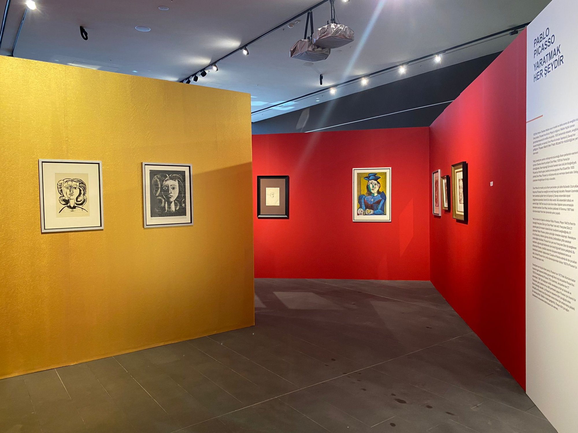 Picasso - Regards Croisés. Istanbul, Turquie