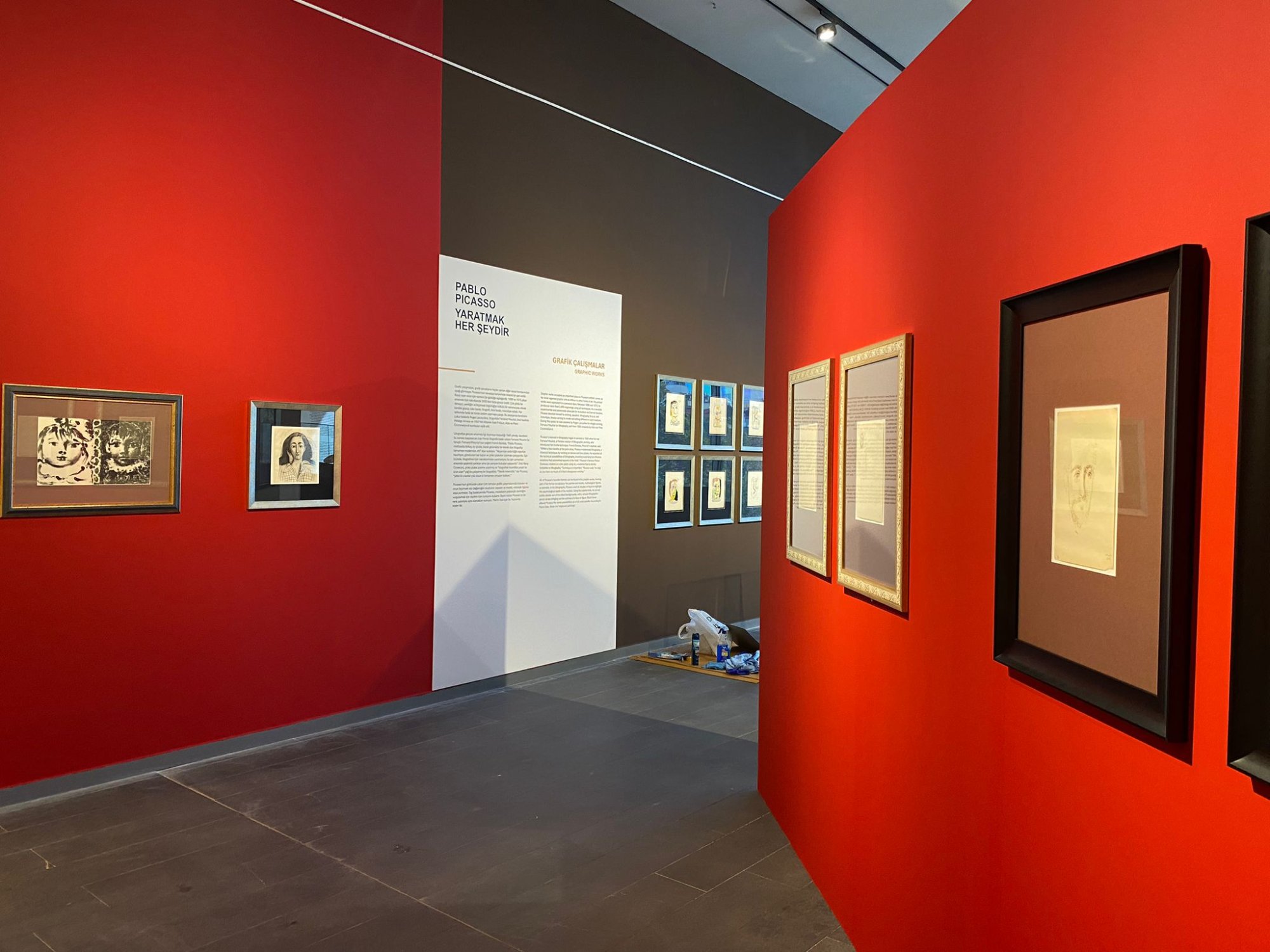 Picasso - Regards Croisés. Istanbul, Turquie