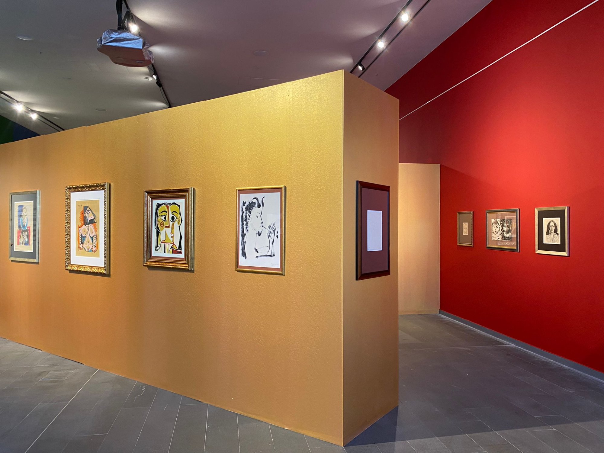 Picasso - Regards Croisés. Istanbul, Turquie
