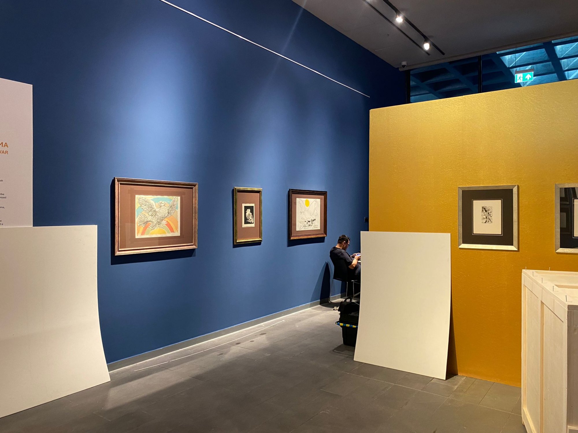 Picasso - Regards Croisés. Istanbul, Turquie